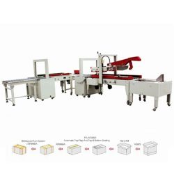 Automatic Carton Packing Line